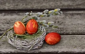 easter eggs easter nest 2145667