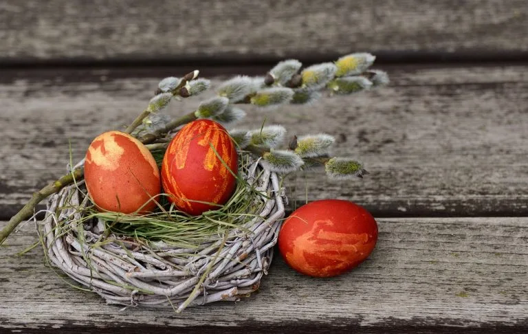 easter eggs easter nest 2145667